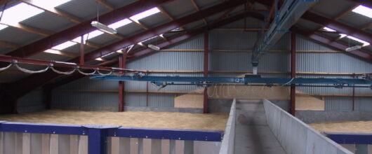 Grain conveyors and augers