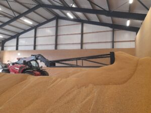 Beluchtingssystemen van Jansen & Heuning voor het conditioneren en drogen van graan in opslagsilo’s.