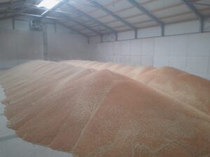 Beluchtingssystemen van Jansen & Heuning voor het conditioneren en drogen van graan in opslagsilo’s.